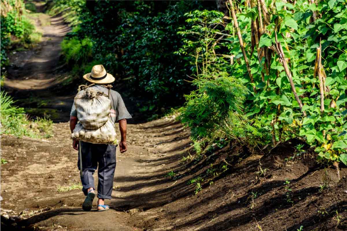 Campesino caminando por un sendero.