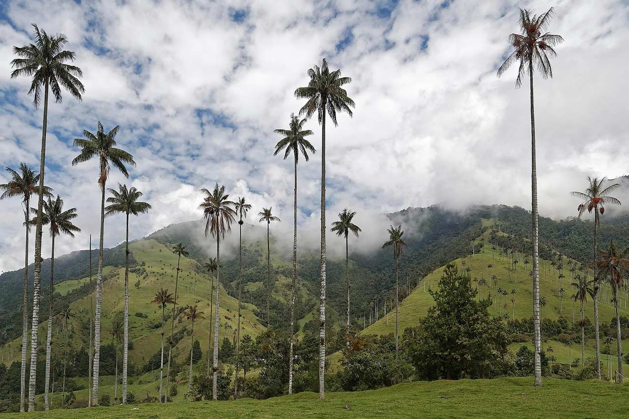 Concurso de Empleo Público Territorial 8: conoce las vacantes en el Departamento del Quindío