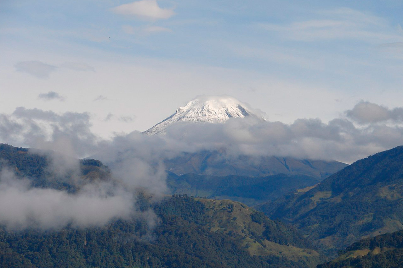 Concurso de Empleo Público Territorial 8: todas las vacantes en el Departamento del Tolima