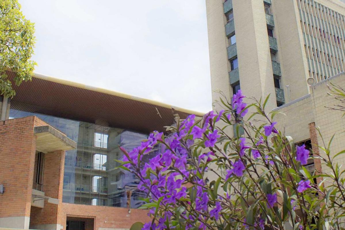 En primero plano, flores color púrpura. Al fondo El Centro Administrativo Municipal de Itagüí