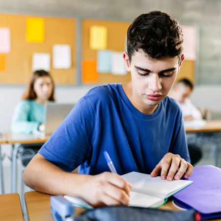 simulacro gratuito saber 11