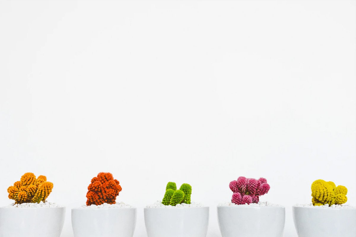 5 formas fáciles de simplificar tu vida